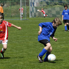 246_bearbeitet-1_jpg-1303148781