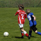 254_bearbeitet-1_jpg-1303148858