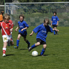 271_bearbeitet-1_jpg-1303148943