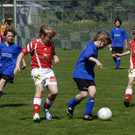 273_bearbeitet-1_jpg-1303149006