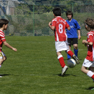 277_bearbeitet-1_jpg-1303149062