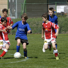 310_bearbeitet-1_jpg-1303149351