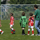 335_bearbeitet-1_jpg-1303149432