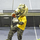 110_2742_JPG-1303150698