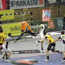 110_2776_JPG-1303150741