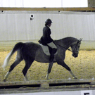 Bild 081_jpg-1303153164