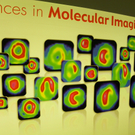 110_2408_JPG-1303154407