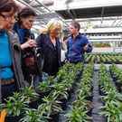 110_1984_JPG-1303168517