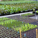 110_1962_JPG-1303168494