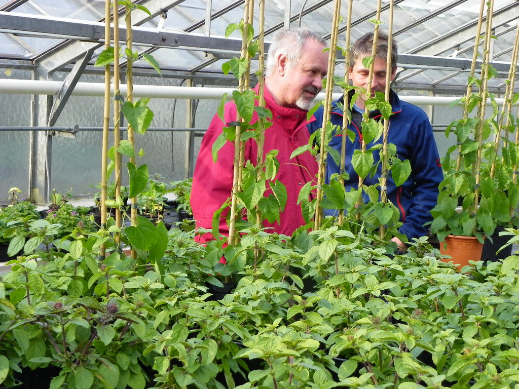 110_2027_JPG-1303168443