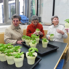 110_2083_JPG-1303168473