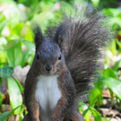 DSC_1672.JPG