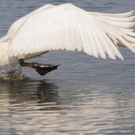 DSC_3674.JPG
