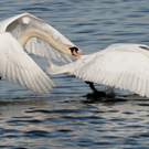 DSC_3803.JPG