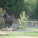 DSC06185.JPG