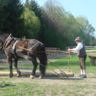 DSC06189.JPG