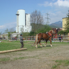 DSC06194.JPG