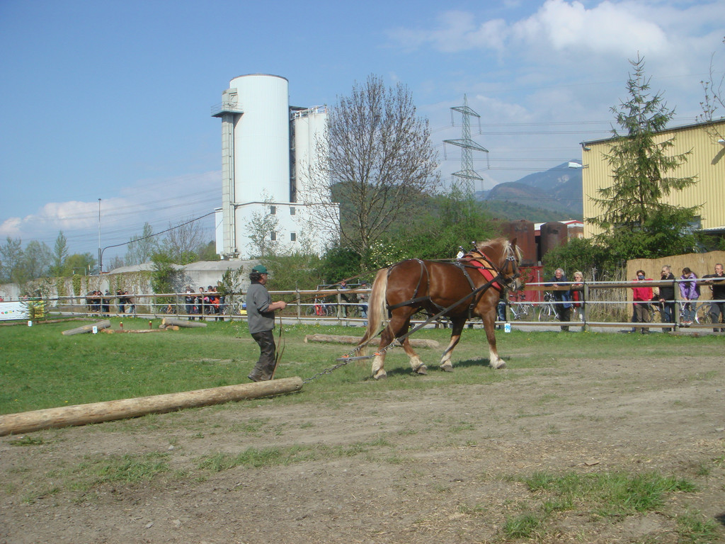DSC06194.JPG