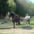 DSC06188.JPG