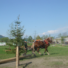 DSC06193.JPG