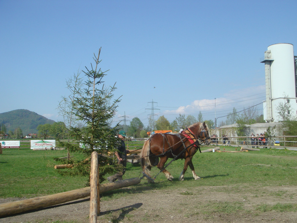 DSC06193.JPG
