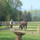 DSC06181.JPG
