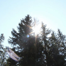normal_IMG_1413.jpg