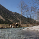 normal_IMG_1417.jpg