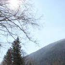 normal_IMG_1426.jpg