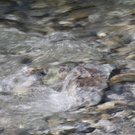 normal_IMG_1430.jpg