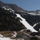 normal_IMG_1445.jpg
