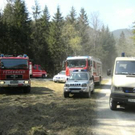 forstunfall-staubfall-1_lbb.jpg