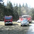 forstunfall-staubfall_lbb.jpg