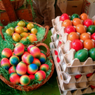 DSCF1406.jpg