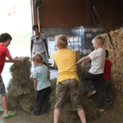 IMG_5146.jpg