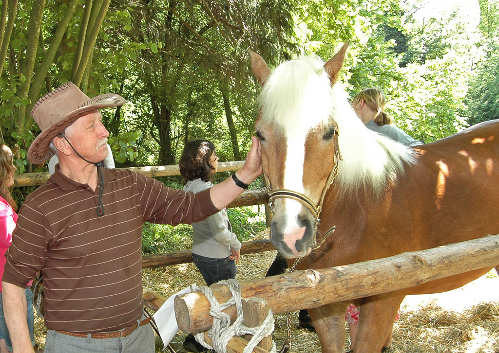 Haflinger 3_jpg-1303420168