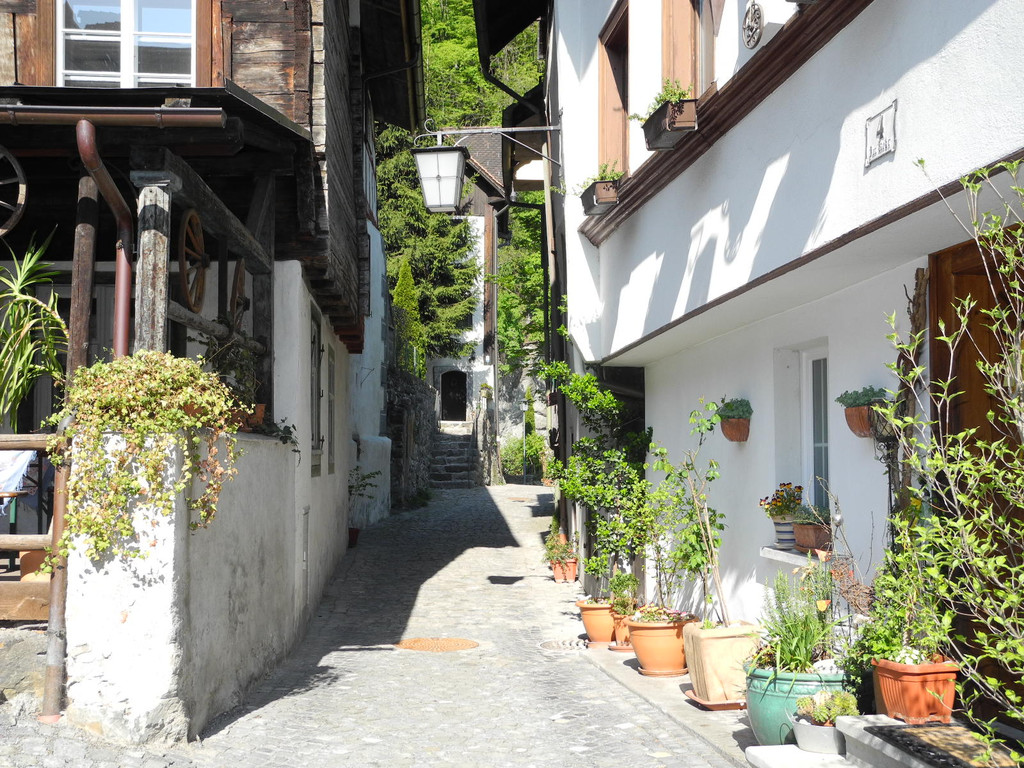 DSCN5196_JPG-1303459481