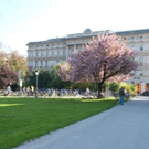 normal_21042011mirabelschrannehsaktivnews_003.jpg