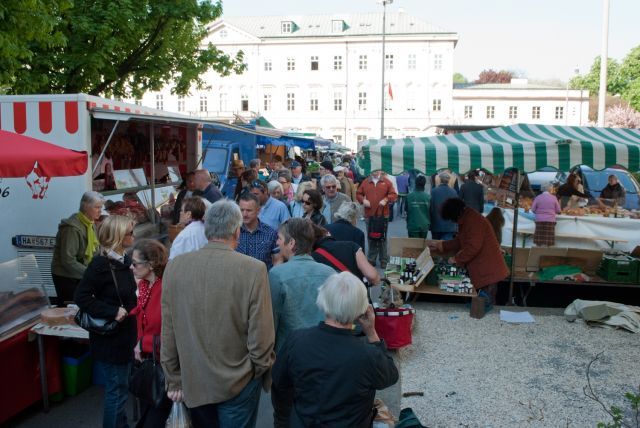normal_21042011mirabelschrannehsaktivnews_010.jpg