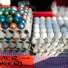 normal_21042011mirabelschrannehsaktivnews_021.jpg