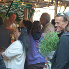 normal_21042011mirabelschrannehsaktivnews_034.jpg