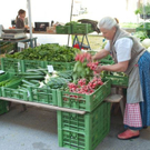normal_21042011mirabelschrannehsaktivnews_036.jpg