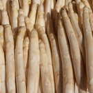normal_21042011mirabelschrannehsaktivnews_045.jpg