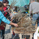 normal_21042011mirabelschrannehsaktivnews_049.jpg