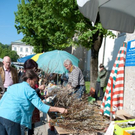 normal_21042011mirabelschrannehsaktivnews_050.jpg