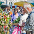 normal_21042011mirabelschrannehsaktivnews_068.jpg
