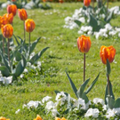 normal_21042011mirabelschrannehsaktivnews_078.jpg