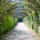 normal_21042011mirabelschrannehsaktivnews_087.jpg