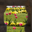 normal_21042011mirabelschrannehsaktivnews_089.jpg