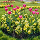 normal_21042011mirabelschrannehsaktivnews_091.jpg